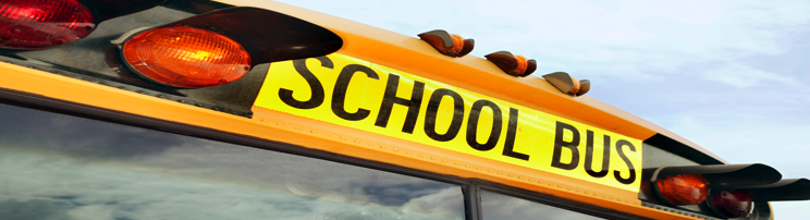 School Bus and Dog Thief Changes Plea to Guilty