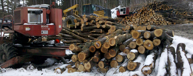 Vermont’s Forest Economy Worth $3.4 Billion