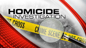 Police investigating homicide in Brownington, suspect in custody