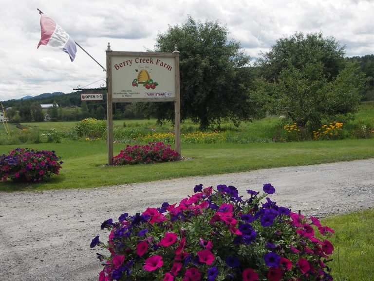 Two local farms participating in Vermont’s Open Farm Week