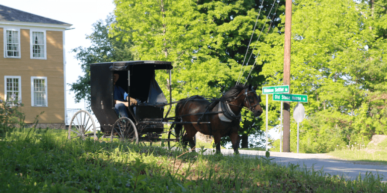 Brownington Amish community pre­pare for ben­e­fit din­ner