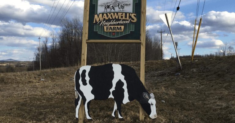 Cow sign stolen, 4 cited for theft in Coventry