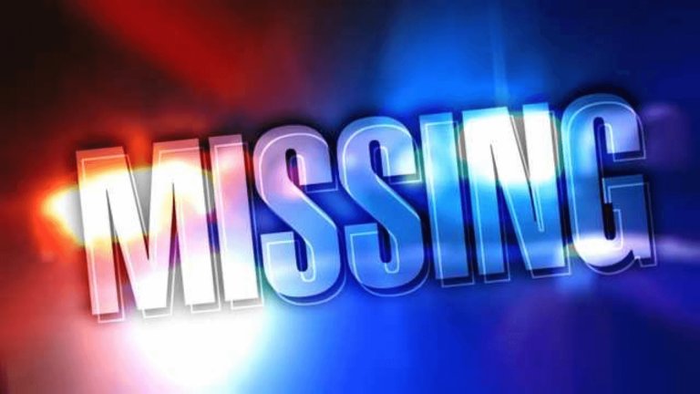 Search continues for second day for missing Springfield man