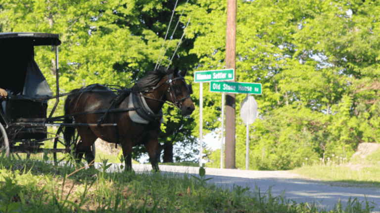 Brownington Amish community unites to assist family