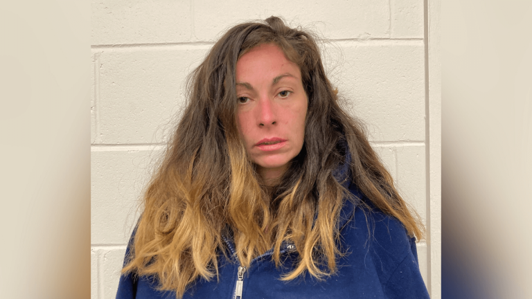 Woman facing slew of charges after setting car on fire in Concord