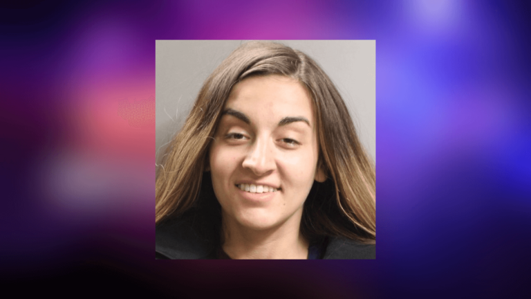 Woman facing slew of charges after stealing vehicle in Salem