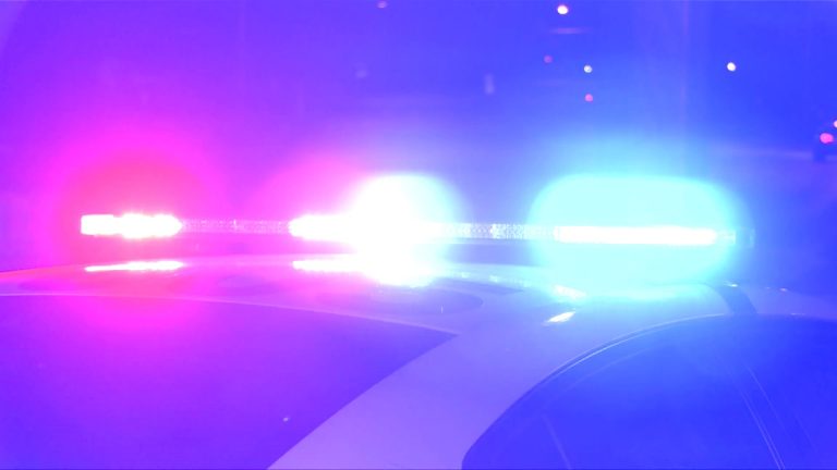 Traffic stop leads to arrest in Springfield
