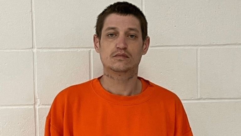Man arrested for damaging property, fleeing police in Marlborough