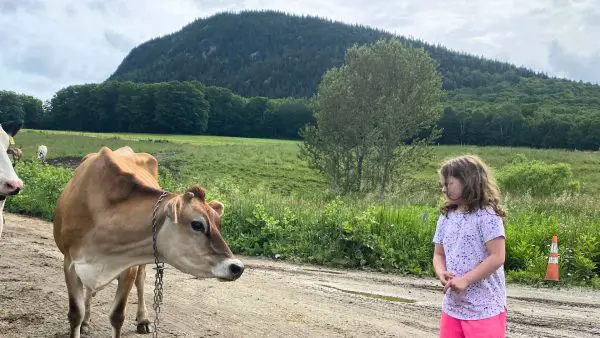 Vermont farms to host Open Farm Week events, including dairy fun day in ...