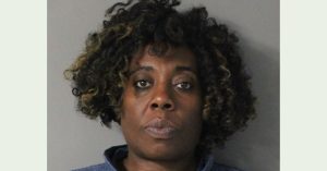 Woman arrested for felony theft at Merrimack Polo Outlet